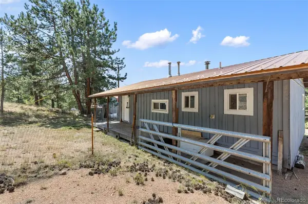 272 Spring Valley TRL, Florissant, CO 80816