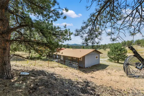 272 Spring Valley TRL, Florissant, CO 80816