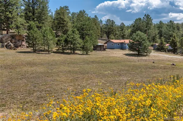 272 Spring Valley TRL, Florissant, CO 80816