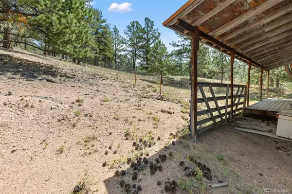 272 Spring Valley TRL, Florissant, CO 80816