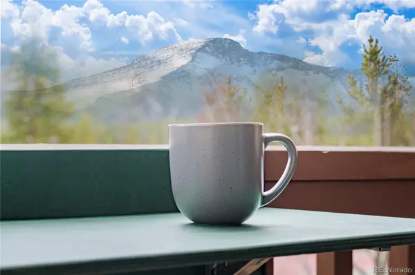 145 Forest TRL ##5, Winter Park, CO 80482