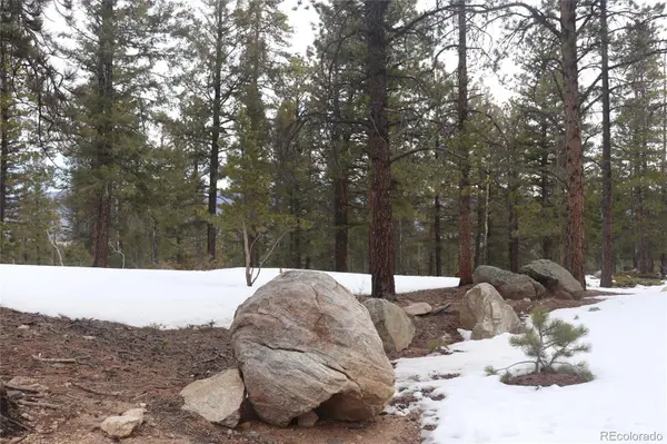Aspen Turn, Buena Vista, CO 81211