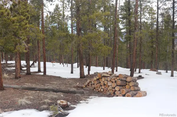 Aspen Turn, Buena Vista, CO 81211