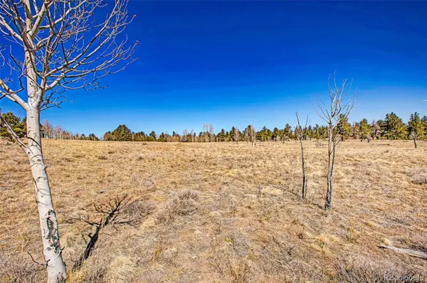 1250 Kaufman RD, Hartsel, CO 80449