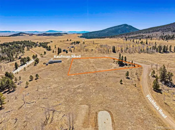 1250 Kaufman RD, Hartsel, CO 80449