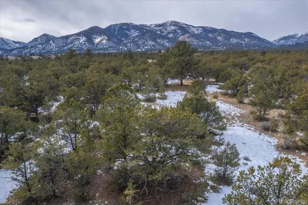 29258 Sage LN, Buena Vista, CO 81211