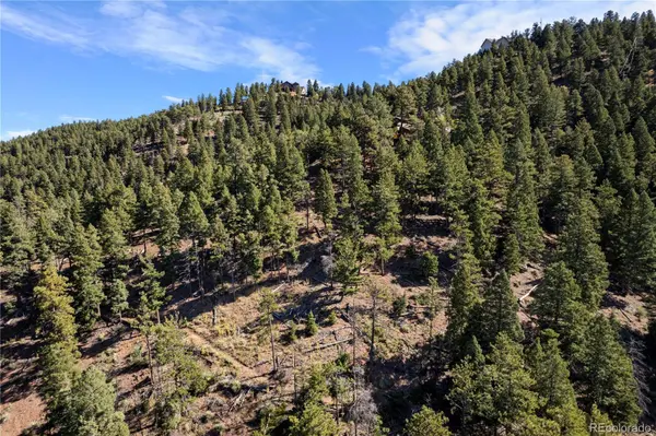 13126 Andiron WAY, Larkspur, CO 80118
