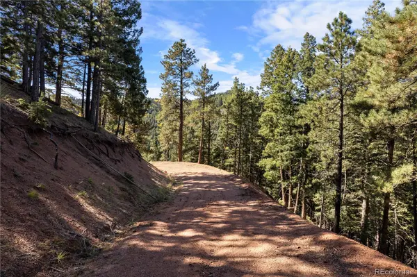 13126 Andiron WAY, Larkspur, CO 80118