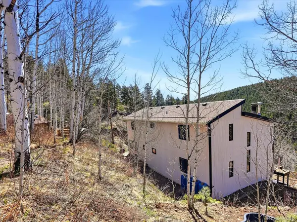 1170 Apex Valley RD, Black Hawk, CO 80422