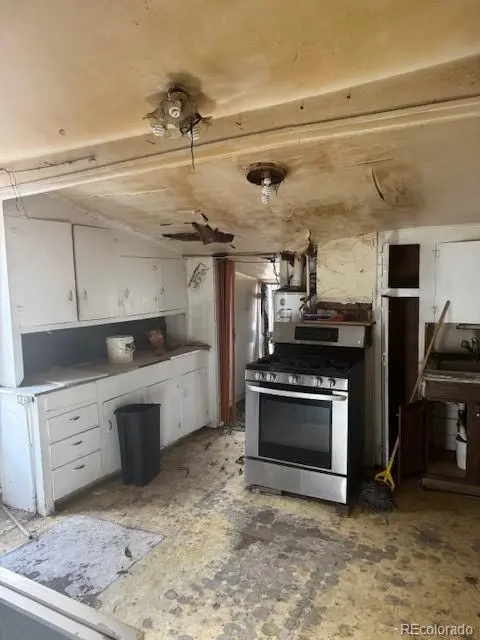 315 N Galapago ST, Denver, CO 80223