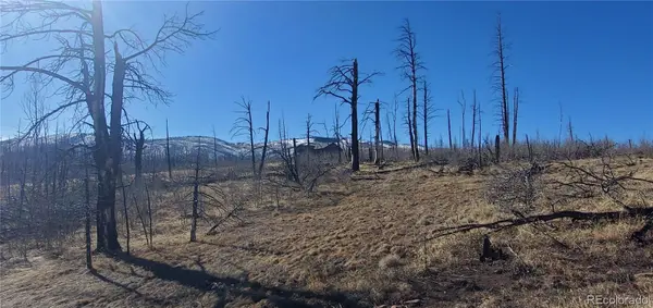 Lot 1566 Cary LN, Fort Garland, CO 81133