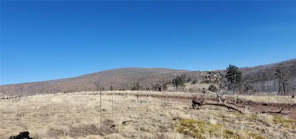 Lot 1566 Cary LN, Fort Garland, CO 81133