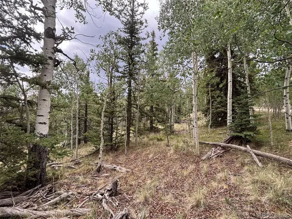 1928 Wells Fargo CIR, Jefferson, CO 80456