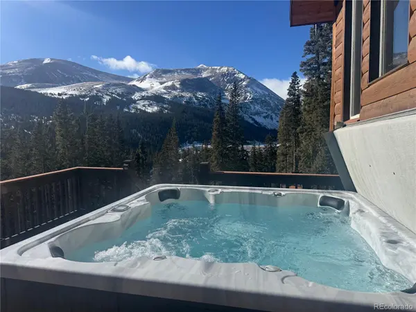 926 Nuthatch DR, Alma, CO 80420