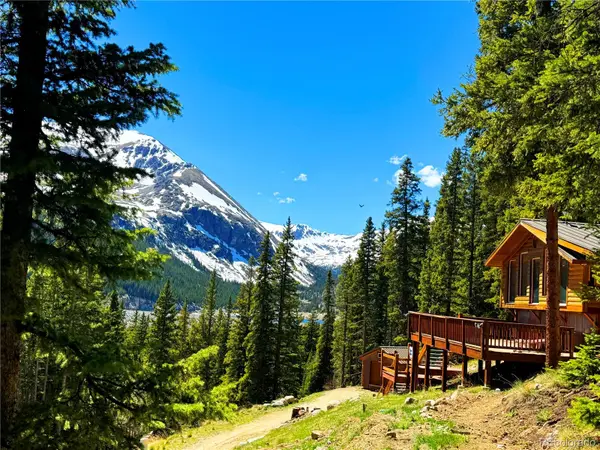 926 Nuthatch DR, Alma, CO 80420