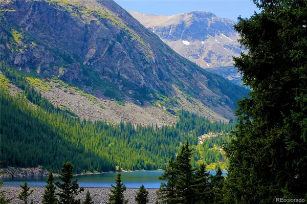 926 Nuthatch DR, Alma, CO 80420