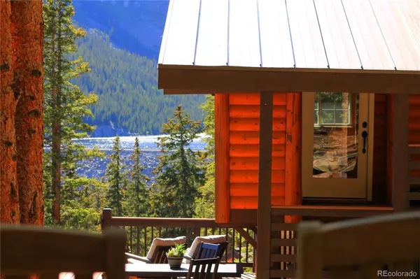 926 Nuthatch DR, Alma, CO 80420