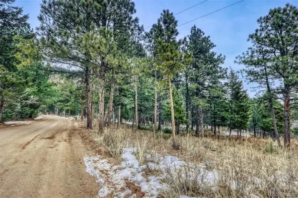 Rock Ridge RD, Palmer Lake, CO 80133