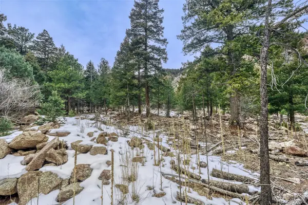 Rock Ridge RD, Palmer Lake, CO 80133
