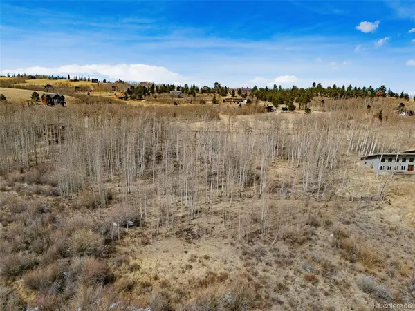 1555 Sheep Ridge RD, Fairplay, CO 80440
