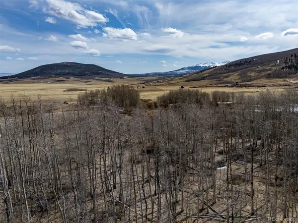 1555 Sheep Ridge RD, Fairplay, CO 80440