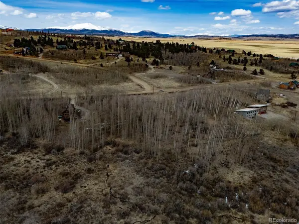 1555 Sheep Ridge RD, Fairplay, CO 80440