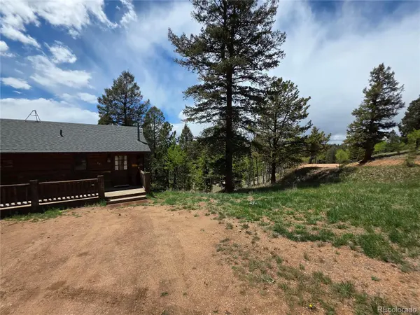 17 Deer Lake CIR, Divide, CO 80814