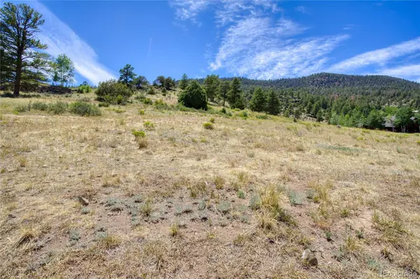 472 Rio Grande Club TRL, South Fork, CO 81154