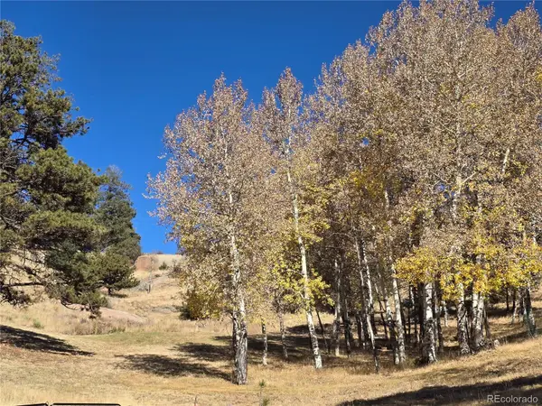 71 Elkhorn CIR, Florissant, CO 80816