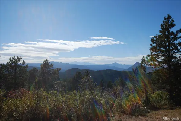 13927 Dancing Bear TRL, Littleton, CO 80127