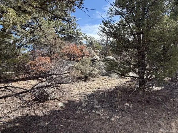 000 Redtail Trail, Texas Creek, CO 81223