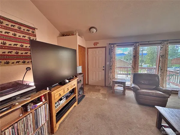 17 Silver Springs RD, Bailey, CO 80421