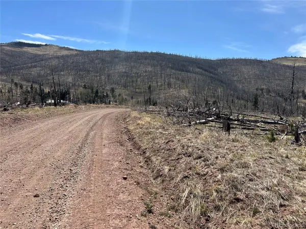 Lot 1039 Forbes Park Ranch, Fort Garland, CO 81133