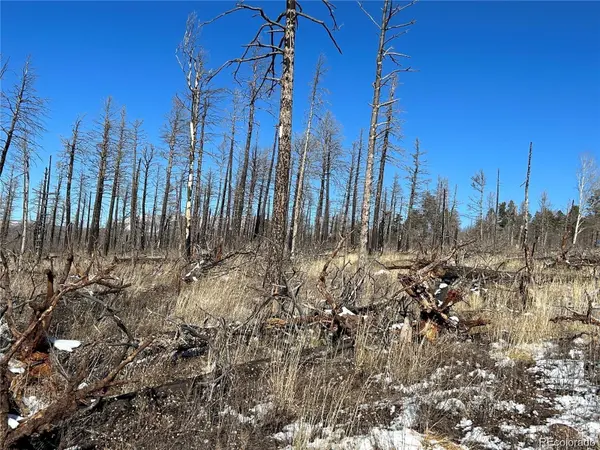 Lot 1039 Forbes Park Ranch, Fort Garland, CO 81133