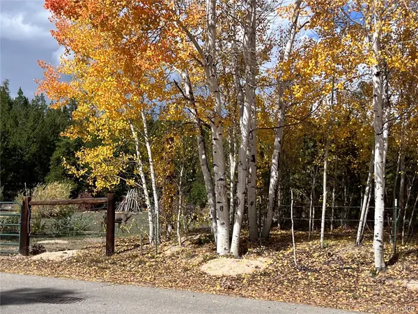 604 Marina Drive #28, Grand Lake, CO 80447