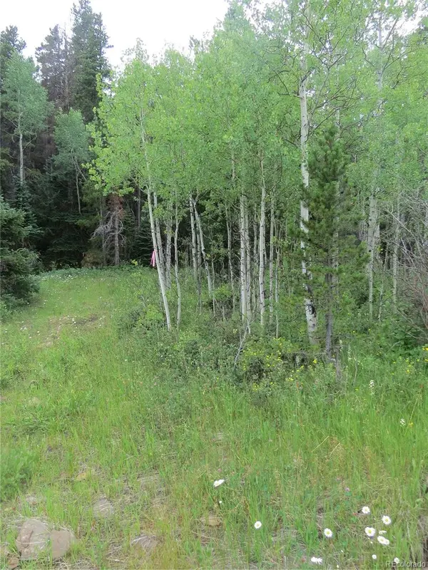 Peak to Peak Hwy, Nederland, CO 80466