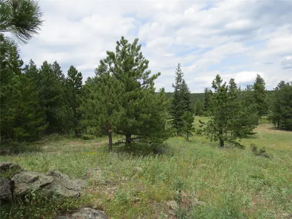 Peak to Peak Hwy, Nederland, CO 80466