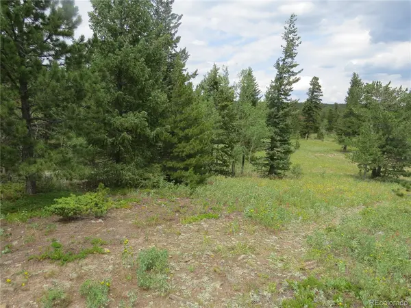 Peak to Peak Hwy, Nederland, CO 80466