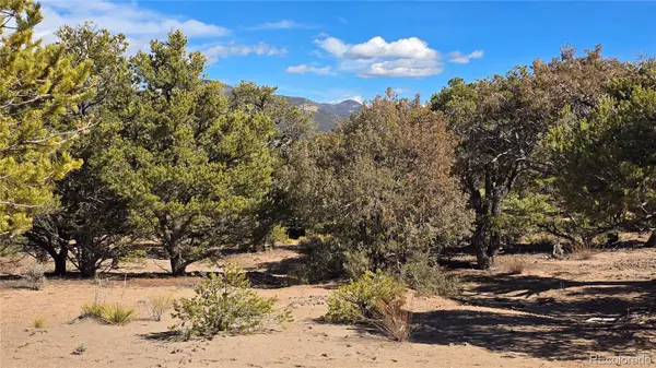 Lot 409 Williams RD, Fort Garland, CO 81133