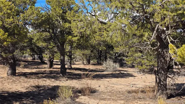 Lot 409 Williams RD, Fort Garland, CO 81133