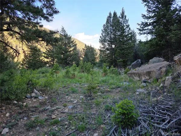 1784 Main, Georgetown, CO 80444