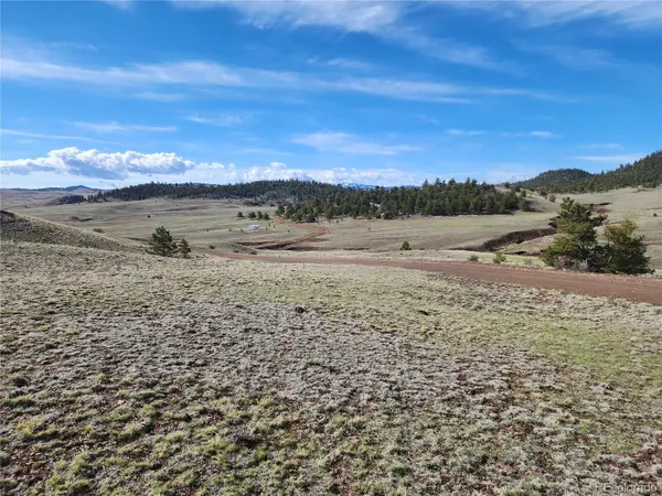 558 Chickadee DR, Hartsel, CO 80449