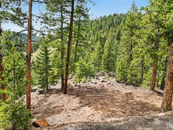 7141 Timber Trail RD, Evergreen, CO 80439