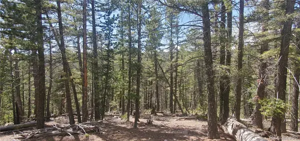 Lot 6764 Kerrigan RD, Fort Garland, CO 81133
