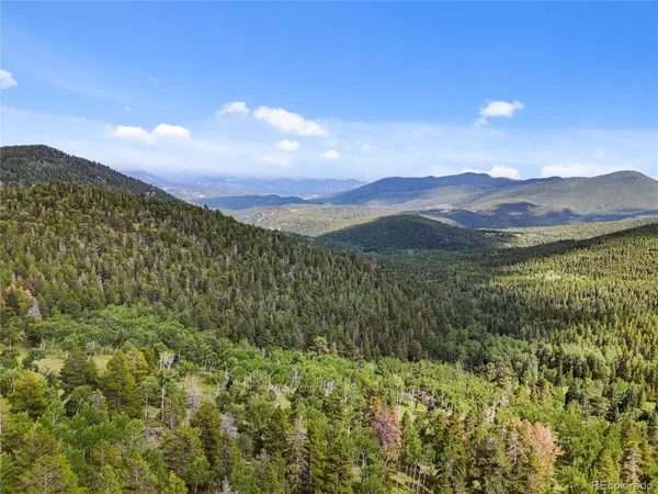 3665 Beaver Brook Canyon RD, Evergreen, CO 80439