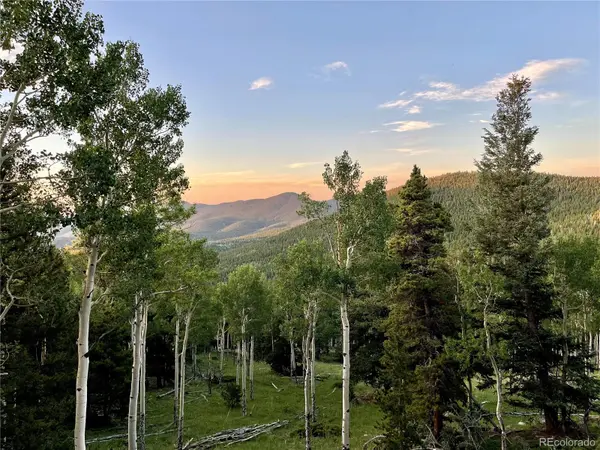 3665 Beaver Brook Canyon RD, Evergreen, CO 80439