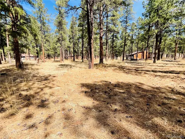 BLK2 LOT 7, Weston, CO 81091