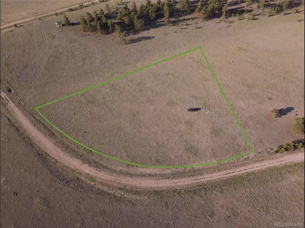 767 Brahma CIR, Hartsel, CO 80449