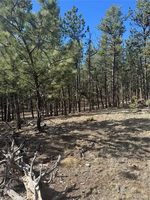 642 Matterhorn DR, Florissant, CO 80816