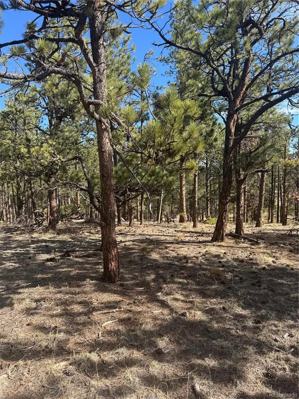 642 Matterhorn DR, Florissant, CO 80816